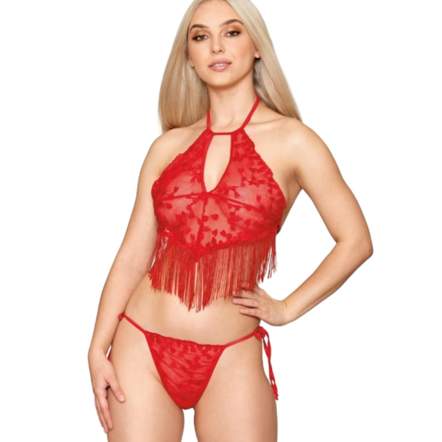 HEART EMBROIDERED LACE CAMISOLE AND G-STRING SET