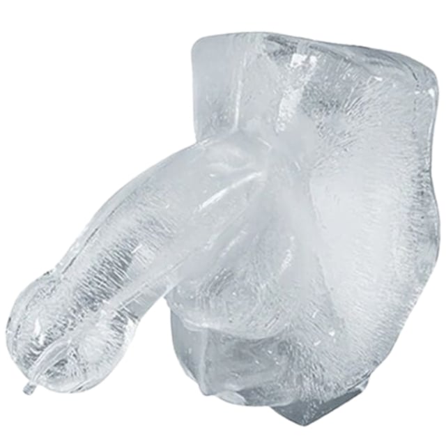 HUGE PENIS ICE LUGE PARTY MOLD