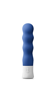 SHAKE WEIGHTED RECHARGEABLE VIBE