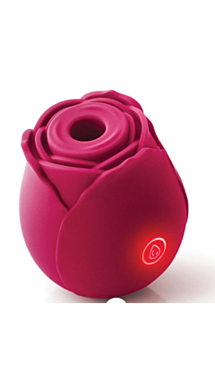 THE ROSE SUCTION VIBE
